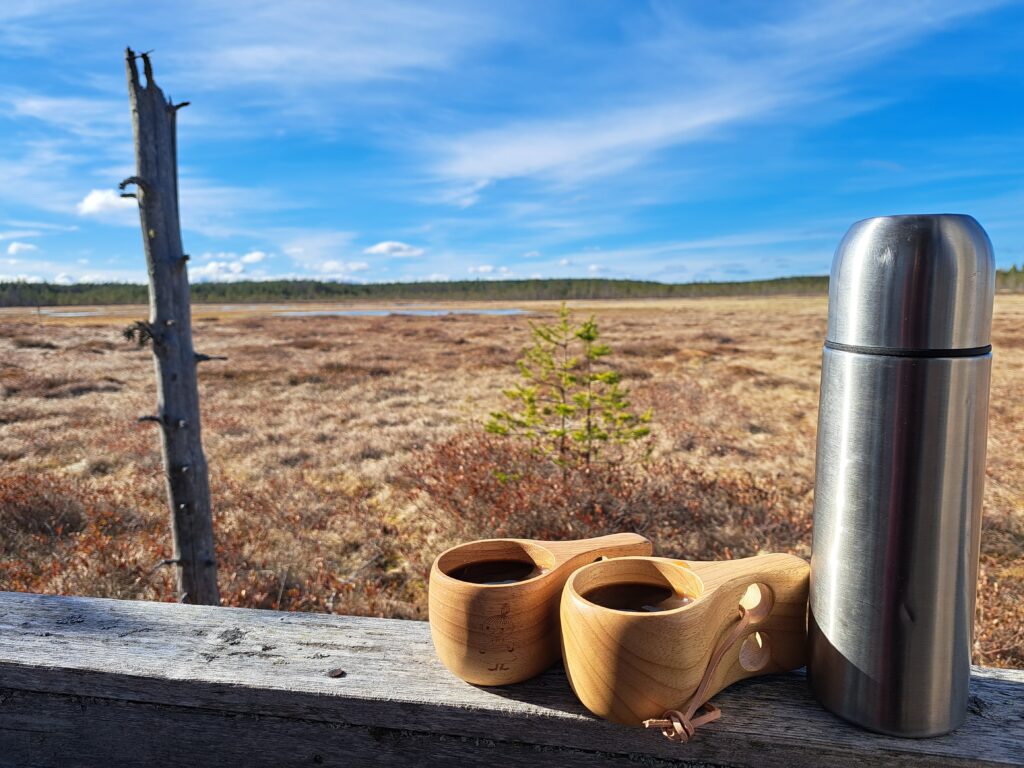 Maisemakuva Karstulan Kilpisuon luontopolulta. Kuvassa eväät.