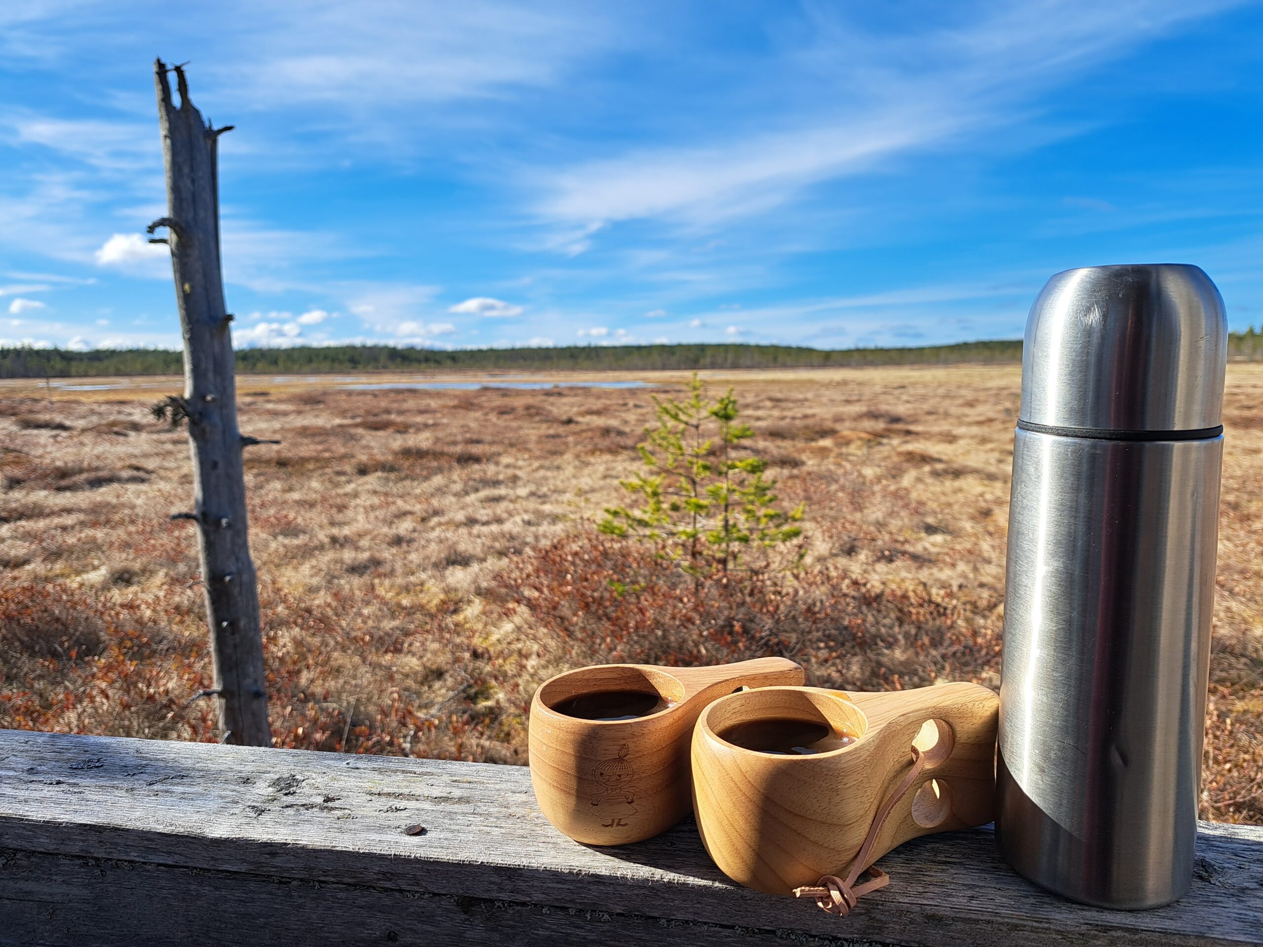 Maisemakuva Karstulan Kilpisuon luontopolulta. Kuvassa eväät.